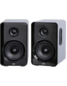 TREVI AV 565 Altavoz Amplificador BT con Bluetooth 2.1