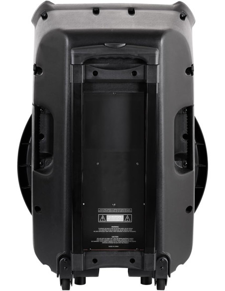 TREVI Altavoz 200W – Sonido potente TREVI portátil